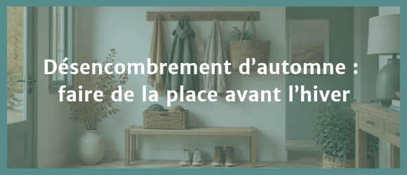 Lire la suite à propos de l’article Désencombrement d’automne : faire de la place avant l’hiver